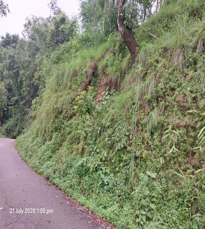 Illam